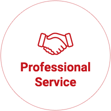 Professional Service